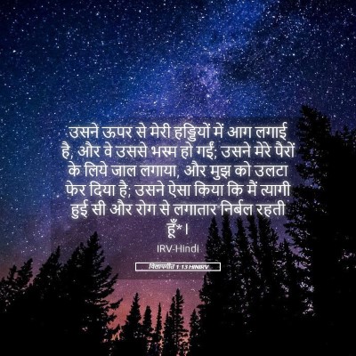 Picture 05 - विलापगीत 1:13 HINIRV - उसने ऊपर से मेरी - Bible Verse Picture