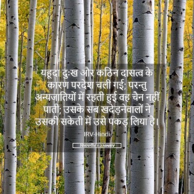 Picture 05 - विलापगीत 1:3 HINIRV - यहूदा दुःख और कठिन - Bible Verse Picture