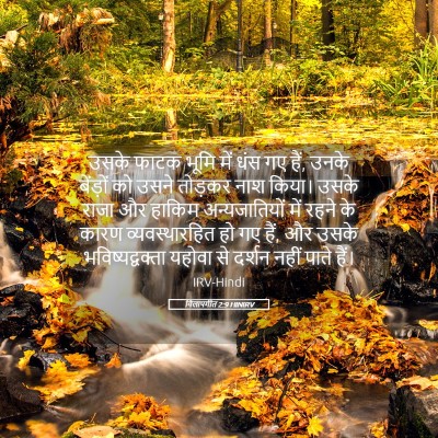 Picture 05 - विलापगीत 2:9 HINIRV - उसके फाटक भूमि में - Bible Verse Picture
