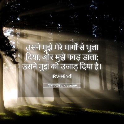 Picture 05 - विलापगीत 3:11 HINIRV - उसने मुझे मेरे - Bible Verse Picture