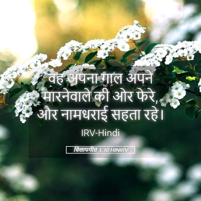 Picture 05 - विलापगीत 3:30 HINIRV - वह अपना गाल अपने - Bible Verse Picture