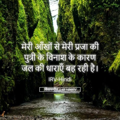 Picture 05 - विलापगीत 3:48 HINIRV - मेरी आँखों से मेरी - Bible Verse Picture