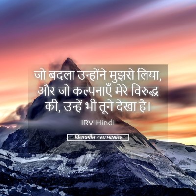 Picture 05 - विलापगीत 3:60 HINIRV - जो बदला उन्होंने - Bible Verse Picture