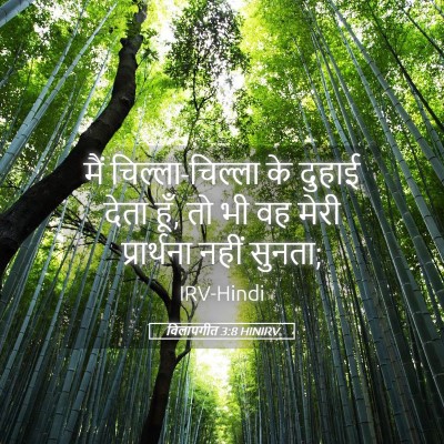 Picture 05 - विलापगीत 3:8 HINIRV - मैं चिल्ला-चिल्ला - Bible Verse Picture