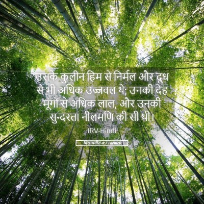 Picture 05 - विलापगीत 4:7 HINIRV - उसके कुलीन हिम से - Bible Verse Picture