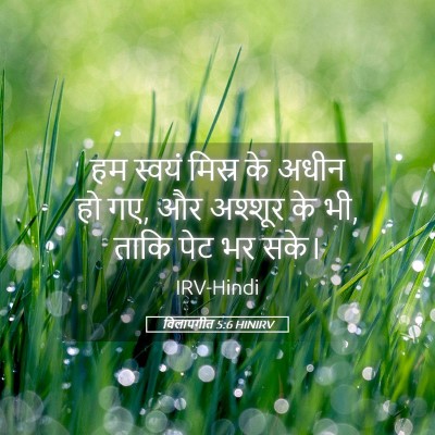 Picture 05 - विलापगीत 5:6 HINIRV - हम स्वयं मिस्र के - Bible Verse Picture