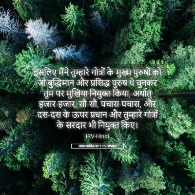 Picture 05 - व्यवस्थाविवरण 1:15 HINIRV - इसलिए मैंने - Bible Verse Picture