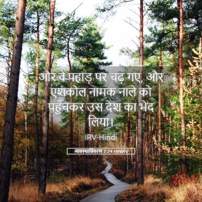Picture 05 - व्यवस्थाविवरण 1:24 HINIRV - और वे पहाड़ पर चढ़ - Bible Verse Picture