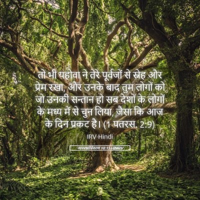 Picture 05 - व्यवस्थाविवरण 10:15 HINIRV - तो भी यहोवा ने तेरे - Bible Verse Picture