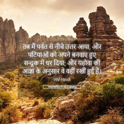 Picture 05 - व्यवस्थाविवरण 10:5 HINIRV - तब मैं पर्वत से - Bible Verse Picture