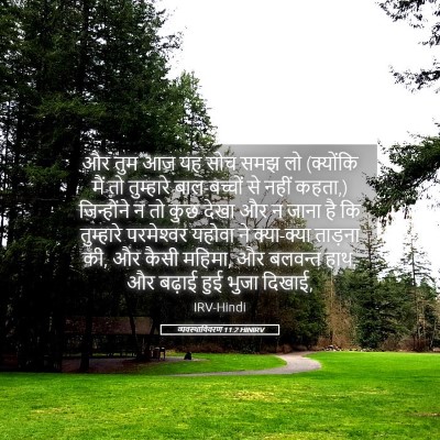 Picture 05 - व्यवस्थाविवरण 11:2 HINIRV - और तुम आज यह सोच - Bible Verse Picture