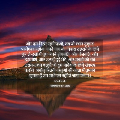Picture 05 - व्यवस्थाविवरण 12:11 HINIRV - और तुम निडर रहने - Bible Verse Picture