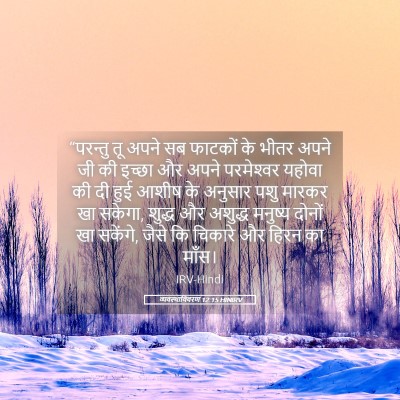 Picture 05 - व्यवस्थाविवरण 12:15 HINIRV - “परन्तु तू अपने सब - Bible Verse Picture