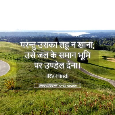 Picture 05 - व्यवस्थाविवरण 12:16 HINIRV - परन्तु उसका लहू न - Bible Verse Picture