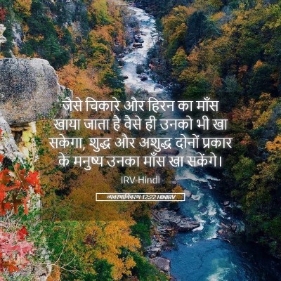 Picture 05 - व्यवस्थाविवरण 12:22 HINIRV - जैसे चिकारे और - Bible Verse Picture