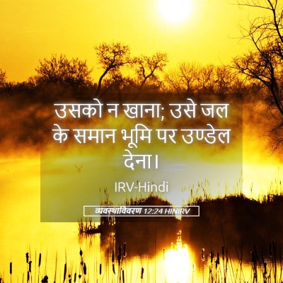 Picture 05 - व्यवस्थाविवरण 12:24 HINIRV - उसको न खाना; उसे जल - Bible Verse Picture