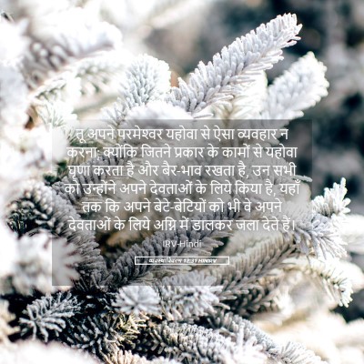 Picture 05 - व्यवस्थाविवरण 12:31 HINIRV - तू अपने परमेश्‍वर - Bible Verse Picture