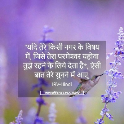 Picture 05 - व्यवस्थाविवरण 13:12 HINIRV - “यदि तेरे किसी नगर - Bible Verse Picture