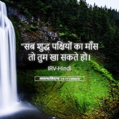 Picture 05 - व्यवस्थाविवरण 14:11 HINIRV - “सब शुद्ध - Bible Verse Picture