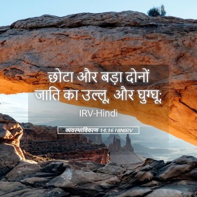 Picture 05 - व्यवस्थाविवरण 14:16 HINIRV - छोटा और बड़ा दोनों - Bible Verse Picture
