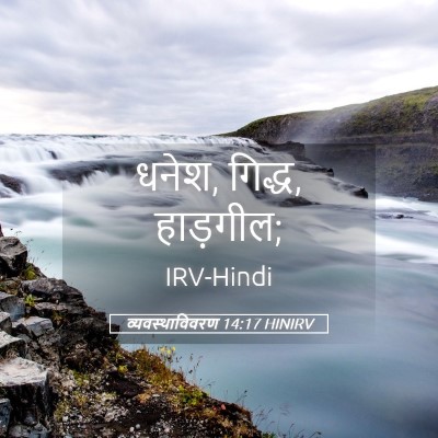 Picture 05 - व्यवस्थाविवरण 14:17 HINIRV - धनेश, गिद्ध, - Bible Verse Picture