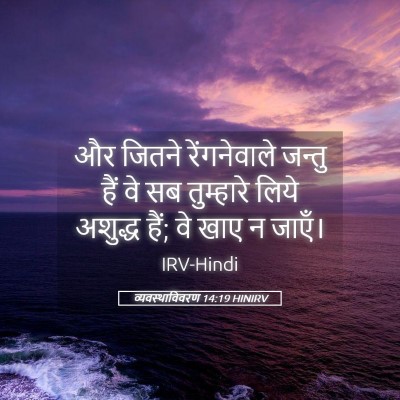 Picture 05 - व्यवस्थाविवरण 14:19 HINIRV - और जितने - Bible Verse Picture