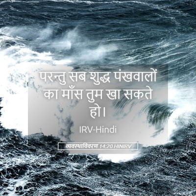 Picture 05 - व्यवस्थाविवरण 14:20 HINIRV - परन्तु सब शुद्ध - Bible Verse Picture