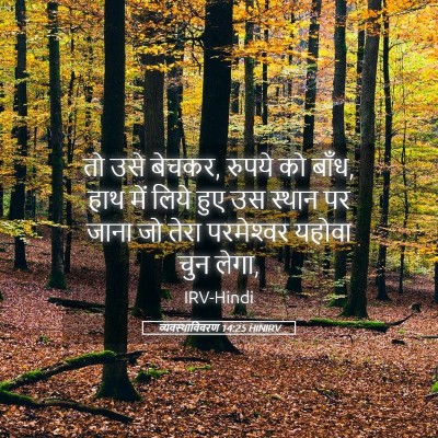 Picture 05 - व्यवस्थाविवरण 14:25 HINIRV - तो उसे बेचकर, रुपये - Bible Verse Picture