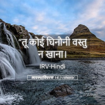 Picture 05 - व्यवस्थाविवरण 14:3 HINIRV - “तू कोई घिनौनी - Bible Verse Picture
