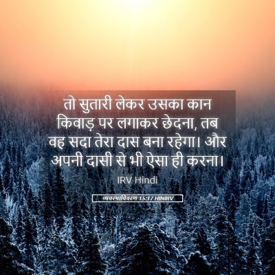 Picture 05 - व्यवस्थाविवरण 15:17 HINIRV - तो सुतारी लेकर - Bible Verse Picture
