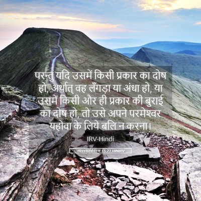 Picture 05 - व्यवस्थाविवरण 15:21 HINIRV - परन्तु यदि उसमें - Bible Verse Picture