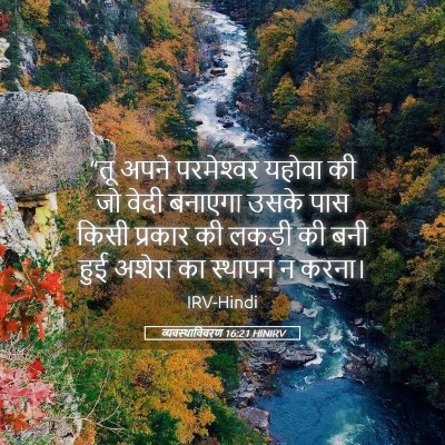 Picture 05 - व्यवस्थाविवरण 16:21 HINIRV - “तू अपने - Bible Verse Picture