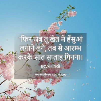 Picture 05 - व्यवस्थाविवरण 16:9 HINIRV - “फिर जब तू खेत में - Bible Verse Picture