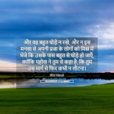 Picture 05 - व्यवस्थाविवरण 17:16 HINIRV - और वह बहुत घोड़े न - Bible Verse Picture