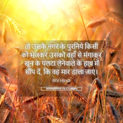 Picture 05 - व्यवस्थाविवरण 19:12 HINIRV - तो उसके नगर के - Bible Verse Picture