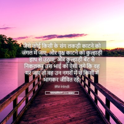 Picture 05 - व्यवस्थाविवरण 19:5 HINIRV - जैसे कोई किसी के - Bible Verse Picture