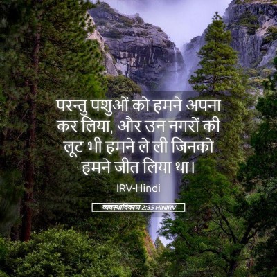 Picture 05 - व्यवस्थाविवरण 2:35 HINIRV - परन्तु पशुओं को - Bible Verse Picture