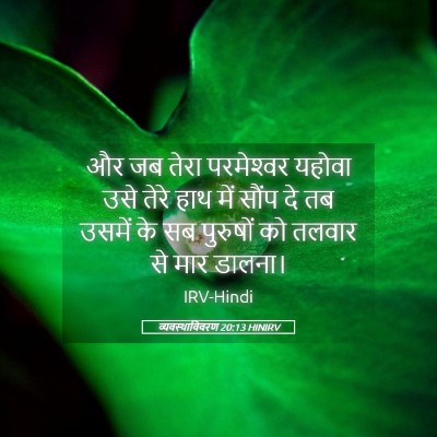 Picture 05 - व्यवस्थाविवरण 20:13 HINIRV - और जब तेरा - Bible Verse Picture