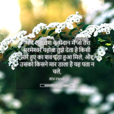 Picture 05 - व्यवस्थाविवरण 21:1 HINIRV - “यदि उस देश के - Bible Verse Picture