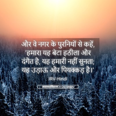 Picture 05 - व्यवस्थाविवरण 21:20 HINIRV - और वे नगर के - Bible Verse Picture