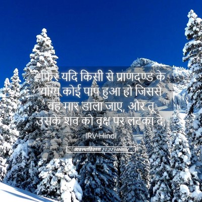 Picture 05 - व्यवस्थाविवरण 21:22 HINIRV - “फिर यदि किसी से - Bible Verse Picture