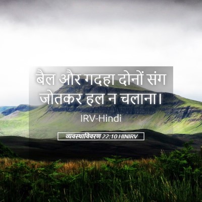 Picture 05 - व्यवस्थाविवरण 22:10 HINIRV - बैल और गदहा दोनों - Bible Verse Picture