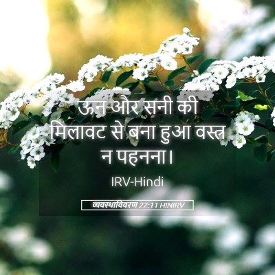 Picture 05 - व्यवस्थाविवरण 22:11 HINIRV - ऊन और सनी की मिलावट - Bible Verse Picture