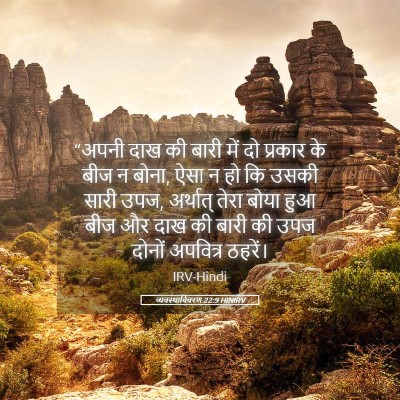 Picture 05 - व्यवस्थाविवरण 22:9 HINIRV - “अपनी दाख की बारी - Bible Verse Picture