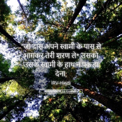 Picture 05 - व्यवस्थाविवरण 23:15 HINIRV - “जो दास अपने - Bible Verse Picture