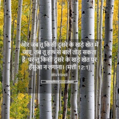 Picture 05 - व्यवस्थाविवरण 23:25 HINIRV - और जब तू किसी दूसरे - Bible Verse Picture