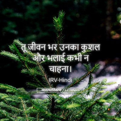 Picture 05 - व्यवस्थाविवरण 23:6 HINIRV - तू जीवन भर उनका - Bible Verse Picture