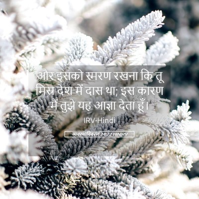 Picture 05 - व्यवस्थाविवरण 24:22 HINIRV - और इसको स्मरण रखना - Bible Verse Picture