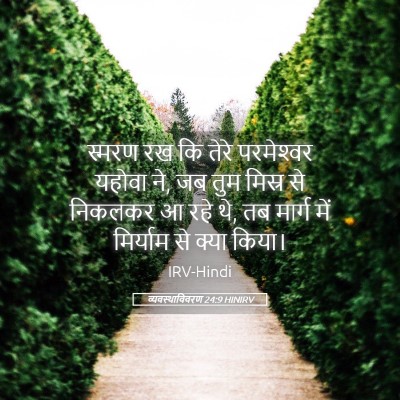 Picture 05 - व्यवस्थाविवरण 24:9 HINIRV - स्मरण रख कि तेरे - Bible Verse Picture