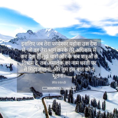 Picture 05 - व्यवस्थाविवरण 25:19 HINIRV - इसलिए जब तेरा - Bible Verse Picture